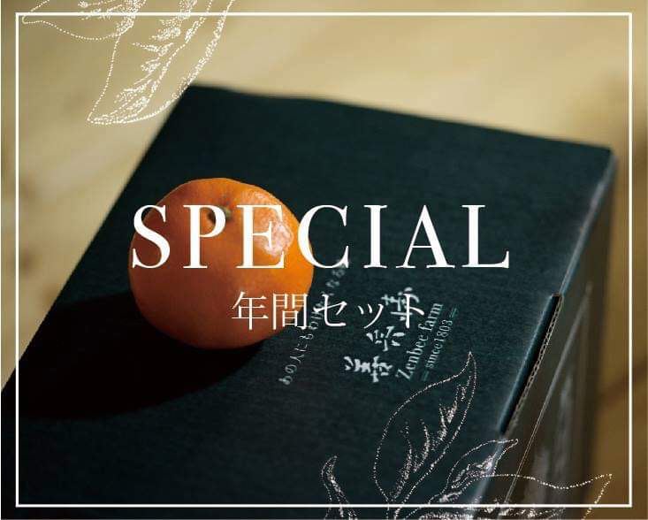 SPECIAL年間セット