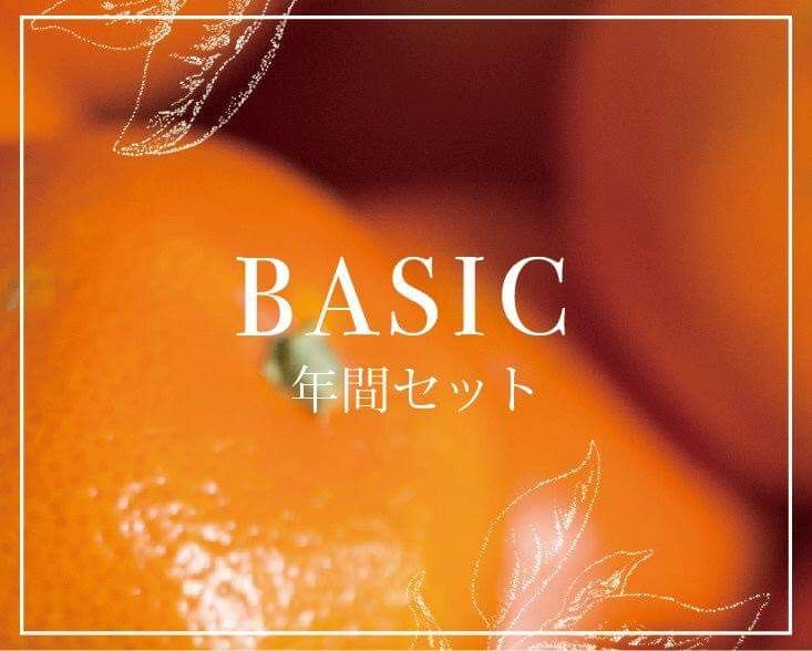 BASIC年間セット