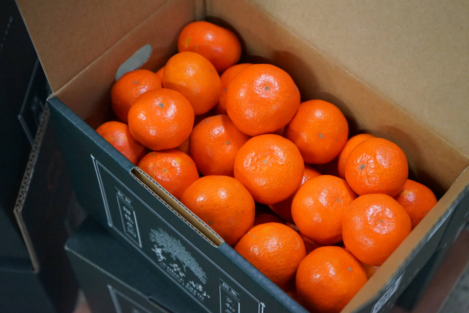 紅みかんの追加販売と定期便について – 善兵衛農園