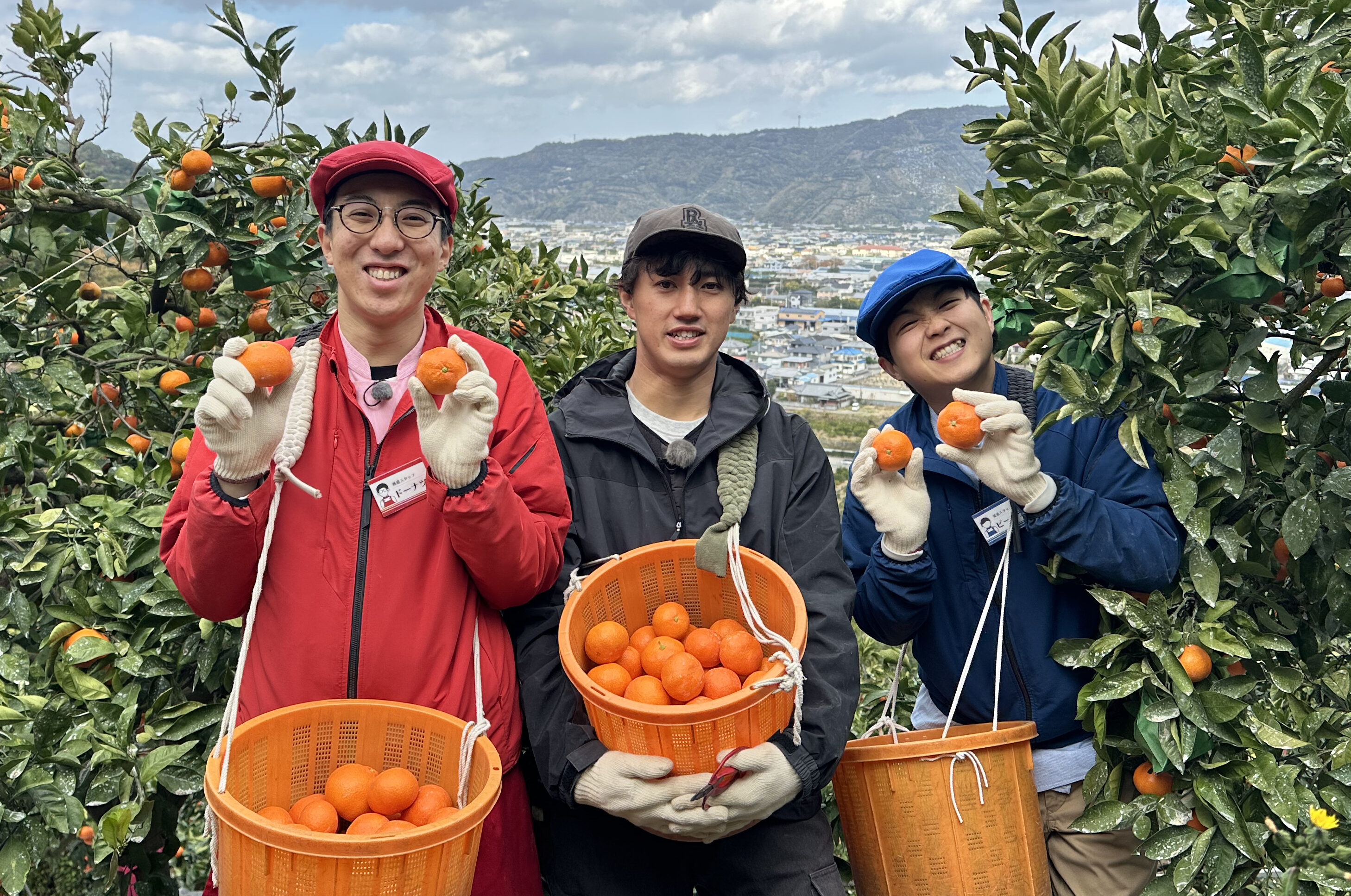 みかん　凛月20個 毎日放送「せやねん！」にて「紅みかん」が紹介されます！ – 善兵衛農園